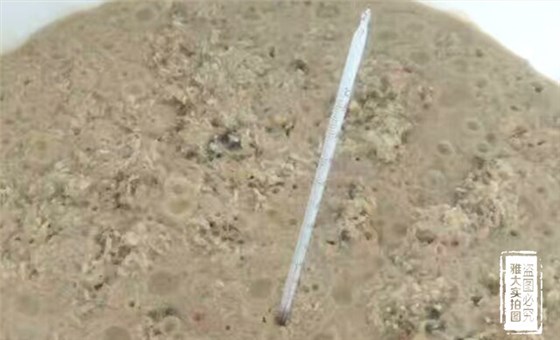 釀酒為什么要嚴格控制發(fā)酵溫度