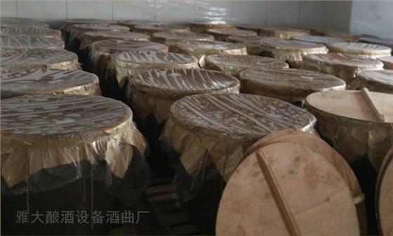 生料釀酒注意這6點，用白酒設備燒的酒比傳統(tǒng)固態(tài)酒還好喝