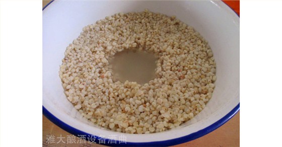 考察釀酒設(shè)備前這6點一定要考慮好高粱甜酒