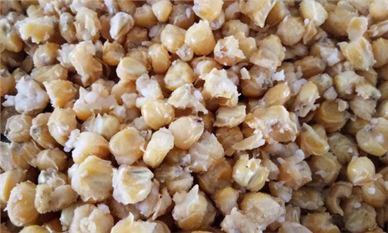 傳統(tǒng)配糟固態(tài)發(fā)酵工藝流程 用白酒生產(chǎn)設(shè)備蒸糧/酒要注意這6點(diǎn)