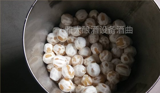 6張圖帶你親臨雅大蒸酒設備檸檬酒制作現場