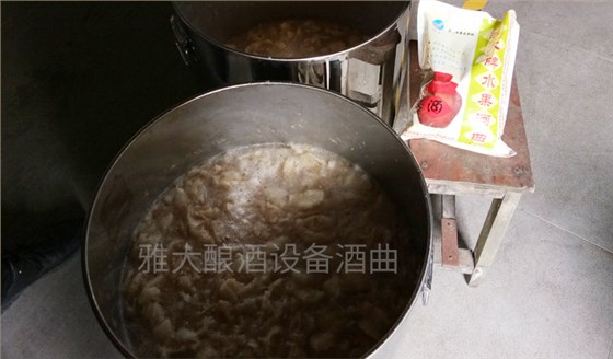 6張圖帶你親臨雅大蒸酒設備檸檬酒制作現場