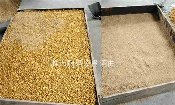 用熟料釀酒設(shè)備做小曲固態(tài)玉米酒時，糊化不充分后果很嚴(yán)重