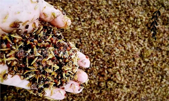 釀白酒設(shè)備做固態(tài)酒，一定要提前對輔料進(jìn)行處理