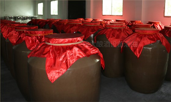 沒一技之長學(xué)什么好創(chuàng)業(yè)用糧食釀酒設(shè)備做酒前景好嗎？05