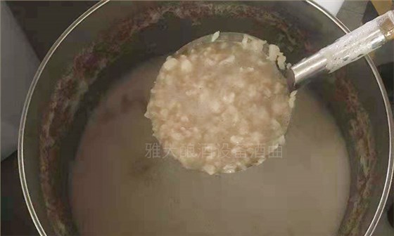 純實操！雅大大型釀酒設(shè)備釀酒師教泰國華裔制作龍眼酒-06