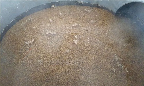 雅大邀您到酒廠用白酒蒸酒設(shè)備實(shí)操釀青稞酒，青稞酒實(shí)操教學(xué)！-02--泡糧