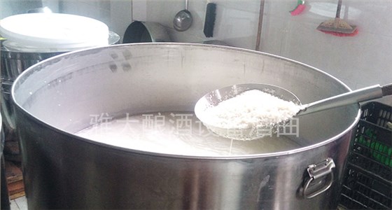 用小型酒廠設(shè)備制作的甜酒釀不甜怎么辦？冬季做甜酒釀注意事項-03-浸米