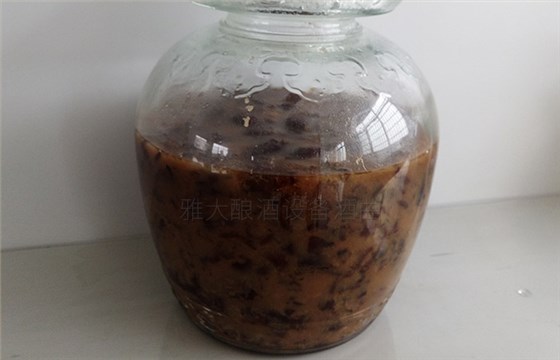 紅棗酒怎么做？用小型酒廠釀酒設(shè)備制作紅棗酒方法-04-紅棗酒釀酒-發(fā)酵