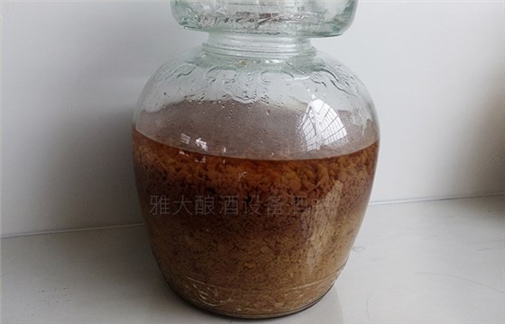 紅棗酒怎么做？用小型酒廠釀酒設(shè)備制作紅棗酒方法-05-紅棗酒釀酒-發(fā)酵后期