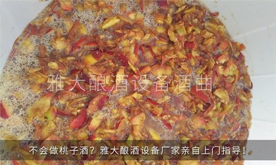 28-不會做桃子酒？雅大釀酒設(shè)備廠家親自上門指導(dǎo)！2