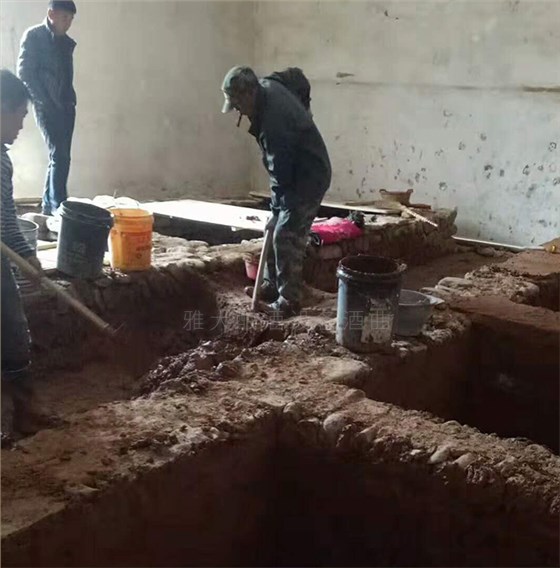6.9用雅大全自動釀酒設(shè)備、混蒸混燒工藝釀造美味濃香型白酒8 濃香白酒酵池建設(shè)中