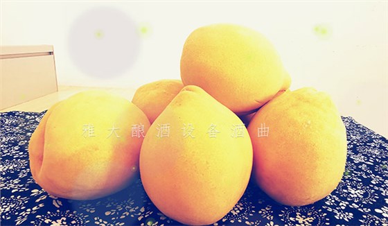 8.24-印江縣黃桃滯銷，冉總引進雅大電加熱釀酒設備靠&ldquo;釀&rdquo;帶動銷量-9