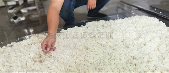 釀酒技術(shù)難不難？自己來學(xué)下 5