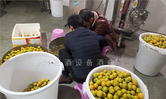 2020年做什么賺錢快？這些人都用果酒釀酒設(shè)備開了特色酒坊 8