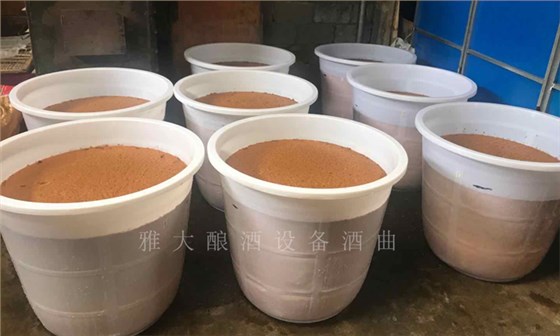 黃桃滯銷嚴(yán)重，雅大蒸餾釀酒設(shè)備彭老師上門指導(dǎo)釀酒9