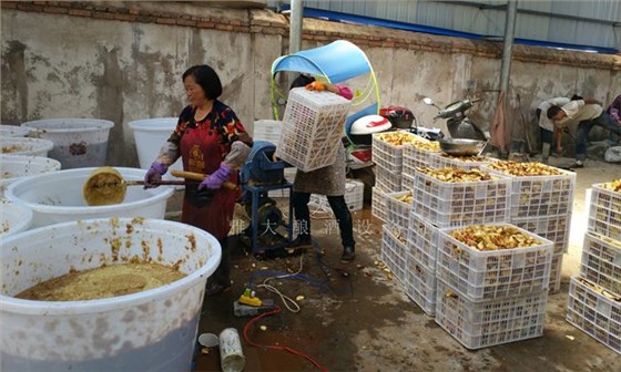 帶您走進(jìn)大型釀酒設(shè)備酒廠，參觀蘋果酒釀造全過(guò)程！ 3