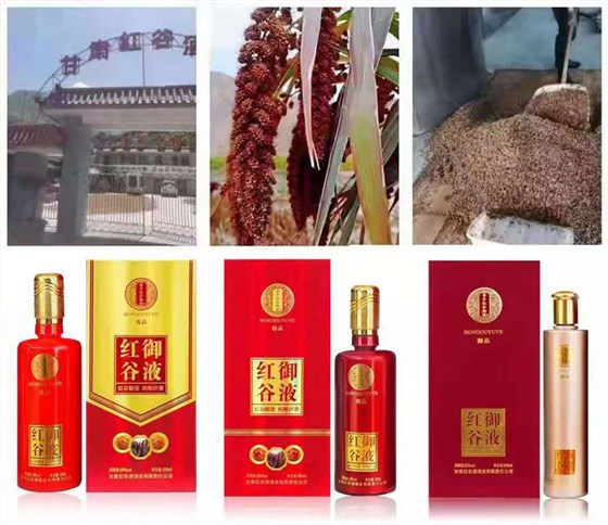 雅大2021&ldquo;暑期酒廠實(shí)操教學(xué)&rdquo;開班啦！ 4