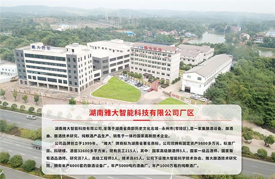 雅大智能順利通過(guò)知產(chǎn)體系年度評(píng)審 2