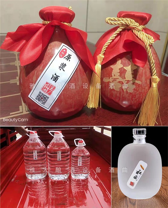 12.18致富新模式，用烤酒設(shè)備蒸酒后的酒糟飼養(yǎng)肉牛成本低，效益高-瓶裝酒
