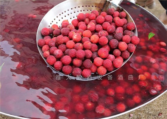 夏季用不銹鋼釀酒設(shè)備做酒，這3大白酒市場(chǎng)一定要把握??！5