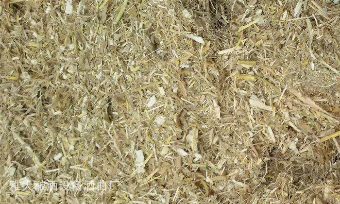 [蒸酒設(shè)備]酒糟喂羊固態(tài)酒糟好還是液態(tài)酒糟好？