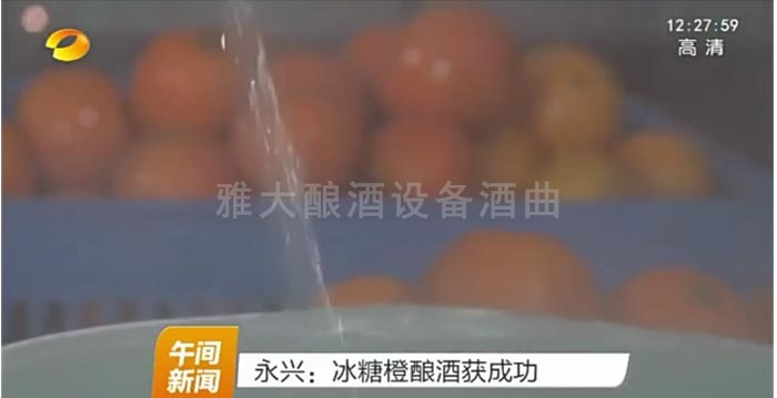 永興冰糖橙滯銷 曹總引雅大烤酒設(shè)備靠&ldquo;釀&rdquo;帶動銷量