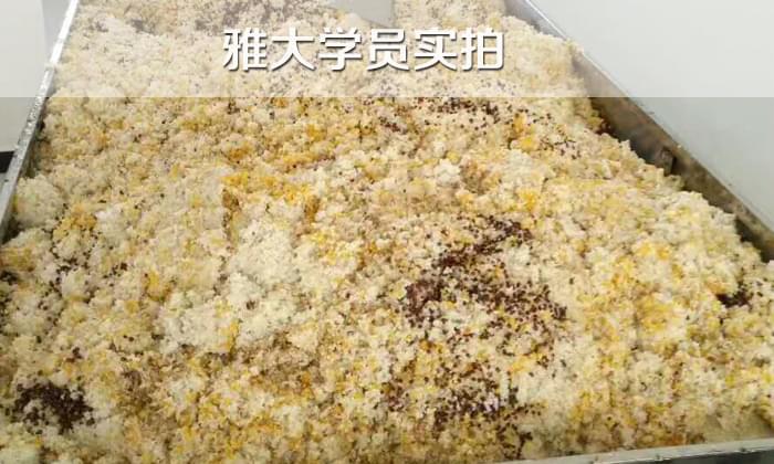 白酒設(shè)備/如果五糧液配方，糧食粉碎，如何蒸煮？