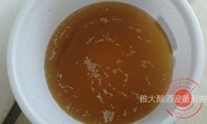 「蒸酒設(shè)備」大米生料發(fā)酵完成，酒醅成茶色