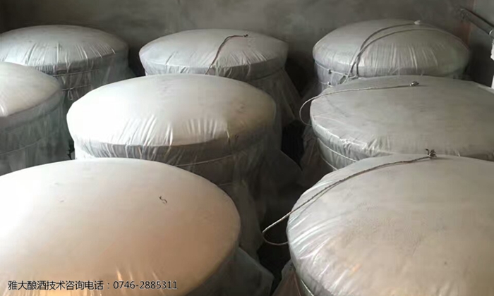 守住純糧酒這條線，帥小伙用雅大燒酒設(shè)備釀高粱酒贏未來