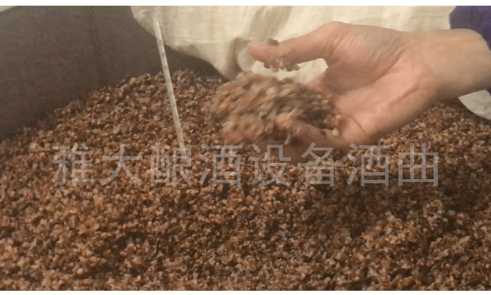傳統(tǒng)固態(tài)釀酒|低溫蒸煮、低溫糖化發(fā)酵