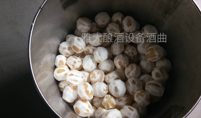 6張圖帶你親臨雅大蒸酒設(shè)備檸檬酒制作現(xiàn)場