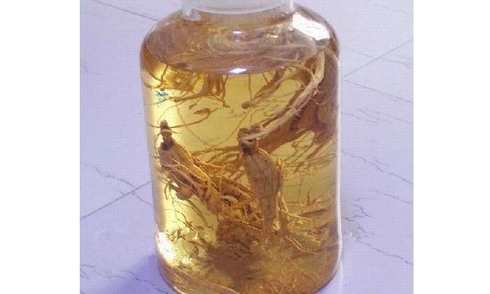 「釀酒設備」金銀花能釀酒嗎？
