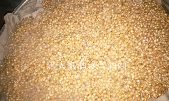 熟料釀酒設(shè)備|小麥固態(tài)酒釀酒工藝流程&mdash;&mdash;悶糧