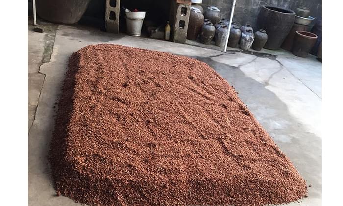 釀白酒設(shè)備制作小曲清香型白酒工藝流程 4