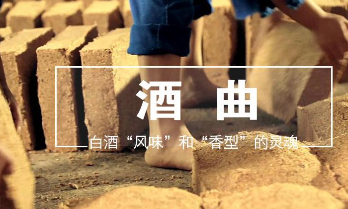 酒苦影響純糧白酒的銷售？雅大釀酒設(shè)備送上解決方案 2