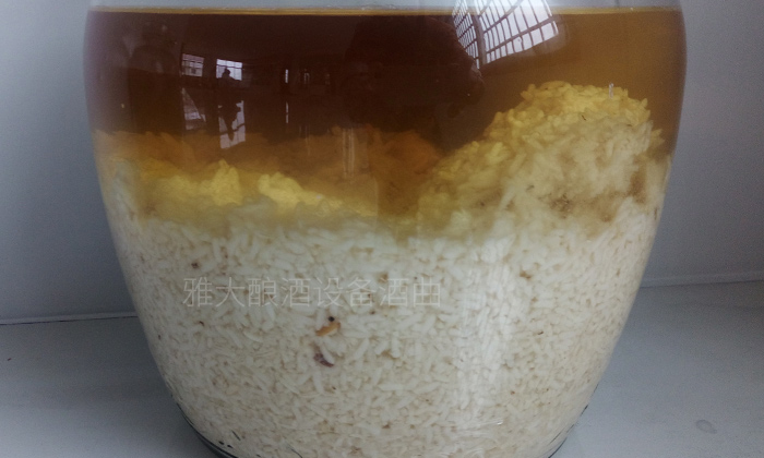 夏季用酒廠釀酒設備做液態(tài)酒，發(fā)酵管理請做好
