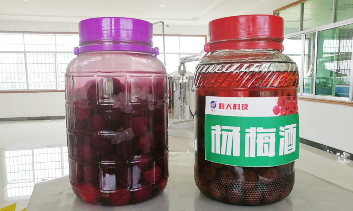 楊梅酒越陳越香是驚天謊言！但用白酒釀造設(shè)備燒的陳酒泡就對(duì)了！1
