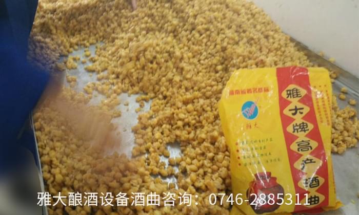 想回家用酒廠釀酒設備開個小酒坊，多長時間可以回本？02 有電話