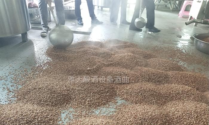 大手筆！雅大電加熱釀酒設(shè)備廠準(zhǔn)備2萬斤高粱等您來實(shí)操釀酒-04
