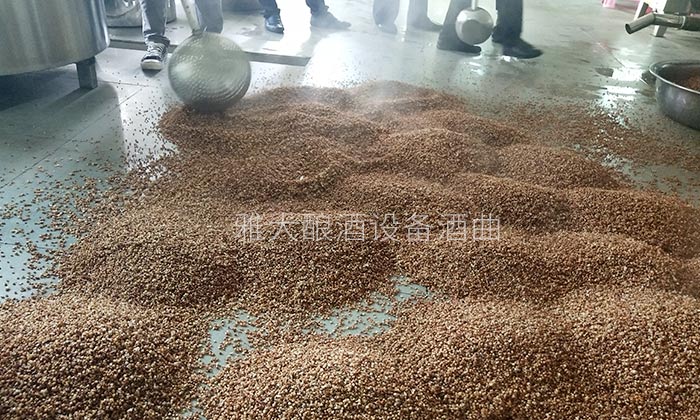 擁有10多套房產(chǎn)的包租婆，為何選擇用糧食釀酒設(shè)備做酒？-04