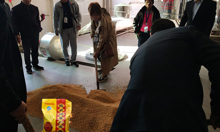 「釀酒教學(xué)」7步教您用專業(yè)釀酒設(shè)備做固態(tài)小麥酒，純實(shí)操！-04-小麥釀酒加入雅大高產(chǎn)酒曲