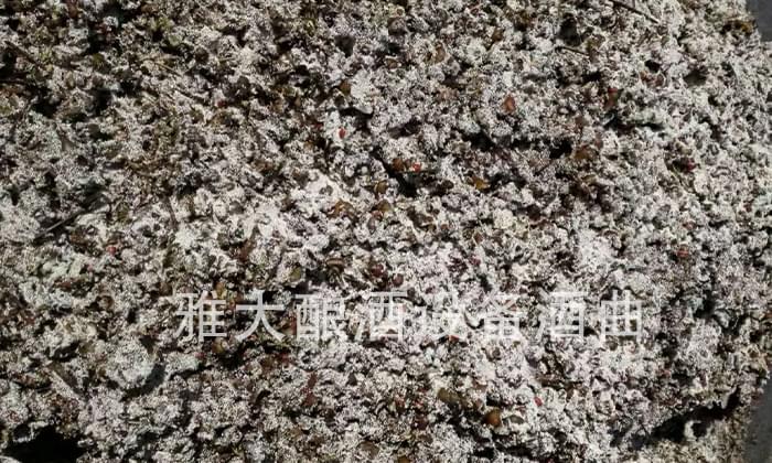 民間用小型白酒釀酒設(shè)備釀了40年的拐棗釀酒經(jīng)驗(yàn)，步驟都告訴你！-04