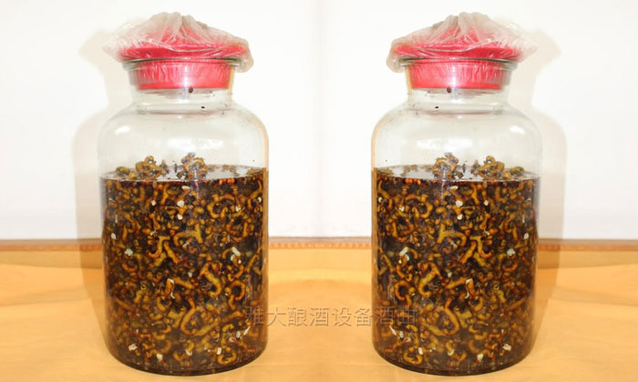 民間用小型白酒釀酒設(shè)備釀了40年的拐棗釀酒經(jīng)驗(yàn)，步驟都告訴你！-06-拐棗泡酒