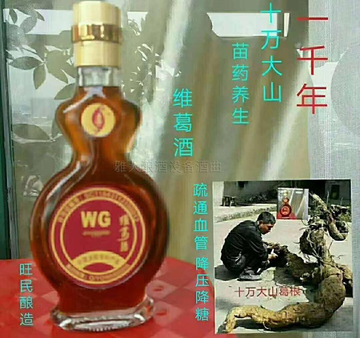 楊醫(yī)生用釀酒新設(shè)備做保健酒4年，維葛酒熱銷全國的秘密！-09葛根酒