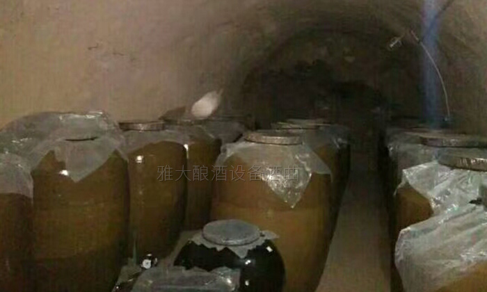 50歲高阿姨借助不銹鋼釀酒設(shè)備，帶領(lǐng)當(dāng)?shù)匕傩瞻l(fā)家致富-09