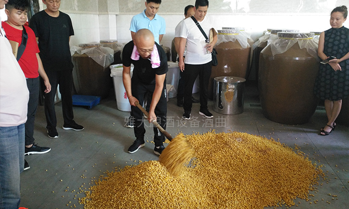 魚兒離不開水，純糧酒離不開釀酒新設備-03玉米釀酒現(xiàn)場實操1