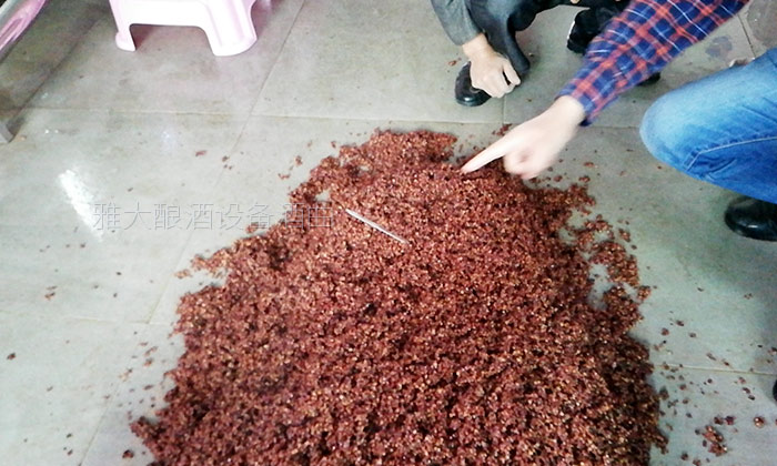 用熟料釀酒設(shè)備釀固態(tài)酒，真能通過黃水的味道判斷發(fā)酵情況？-05-高粱釀酒