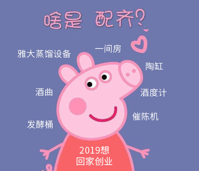 啥是佩奇？2019回家釀酒創(chuàng)業(yè)，全套釀酒設(shè)備要配齊！-02-啥是佩奇2