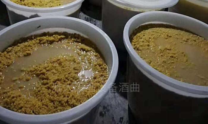 玉米釀酒設(shè)備做的生料玉米酒口感真的有那么差么？-01-玉米生料釀酒